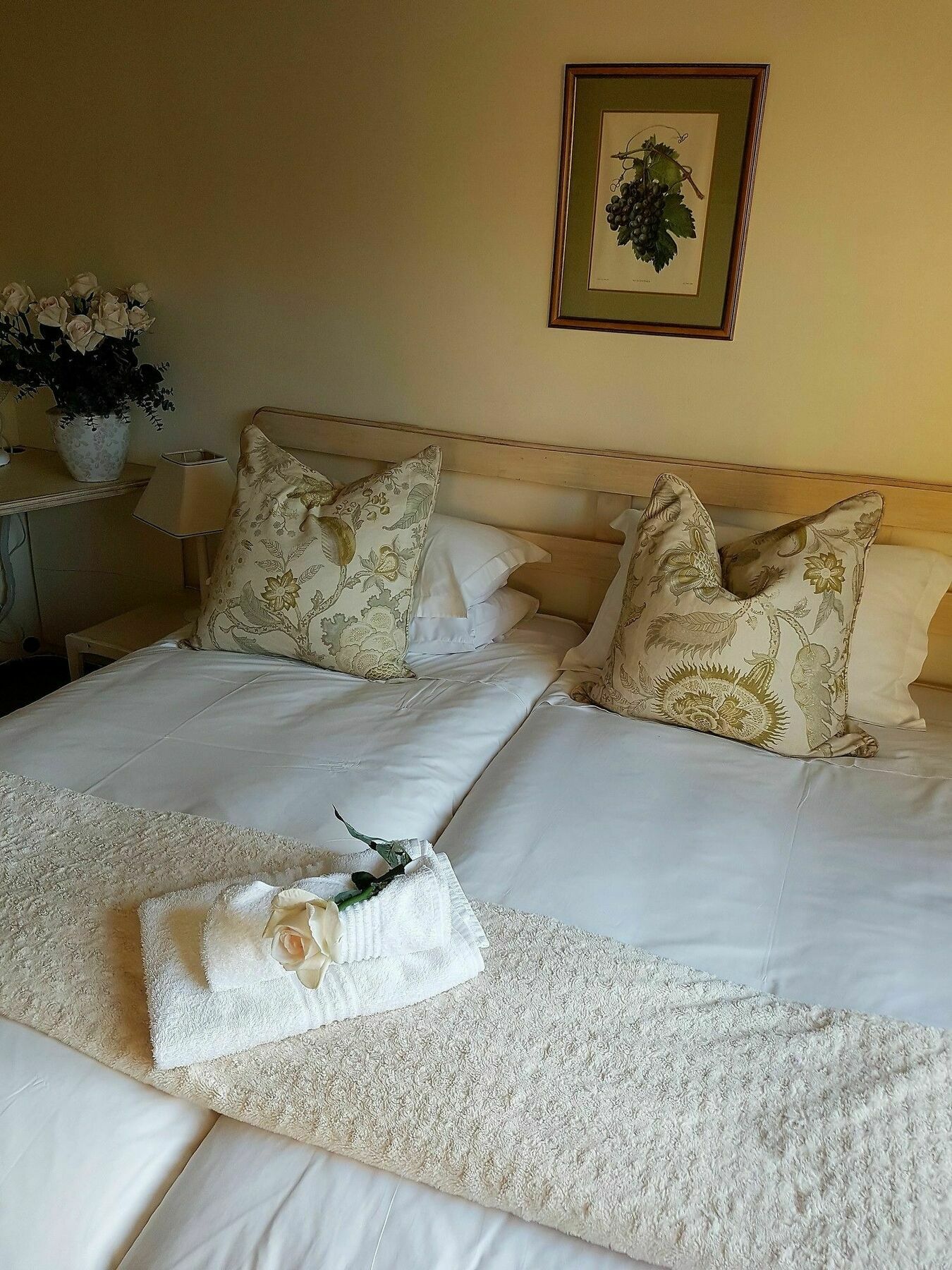 Valley Heights Guest House And B & B Cape Town Exterior photo
